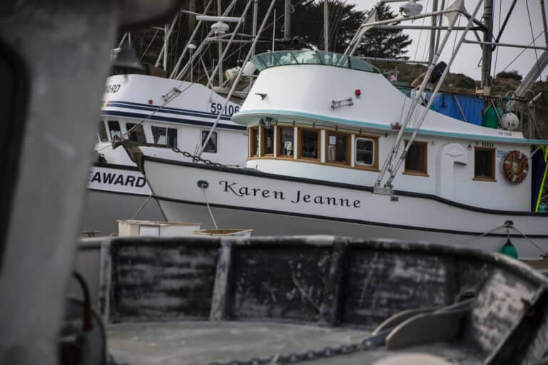 California could have avoided salmon season shutdown. Did we learn nothing last time?