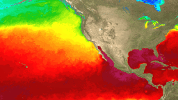 The oceans just reached their hottest temperature on record as El Niño looms