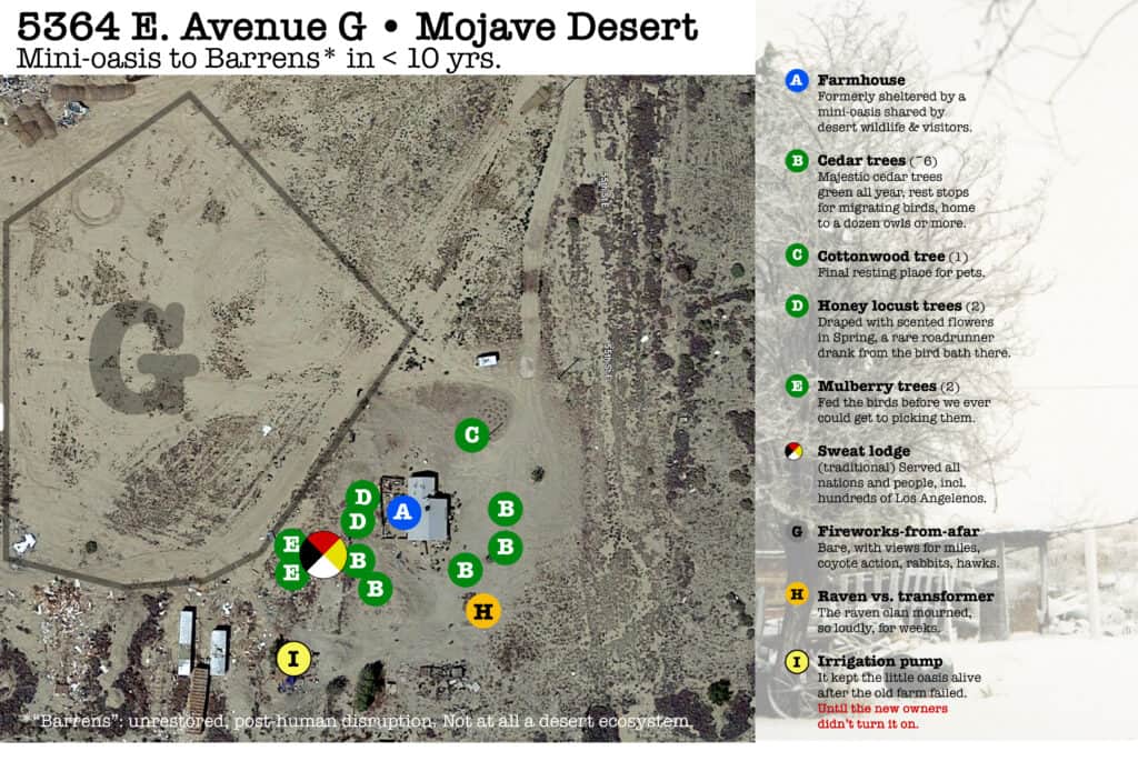 Features of a mini-oasis farmstead in the Mojave Desert