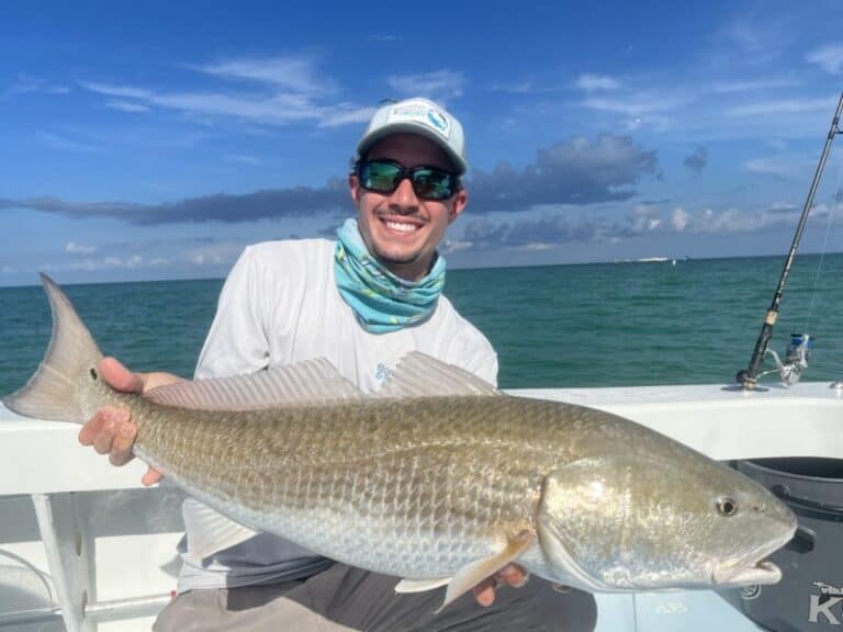 One fish, two fish, redfish: Drug fish