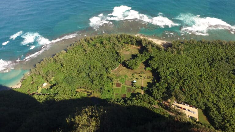 Revamped State Park On Kauai Is A Case Study For Beating Overtourism, Officials Say