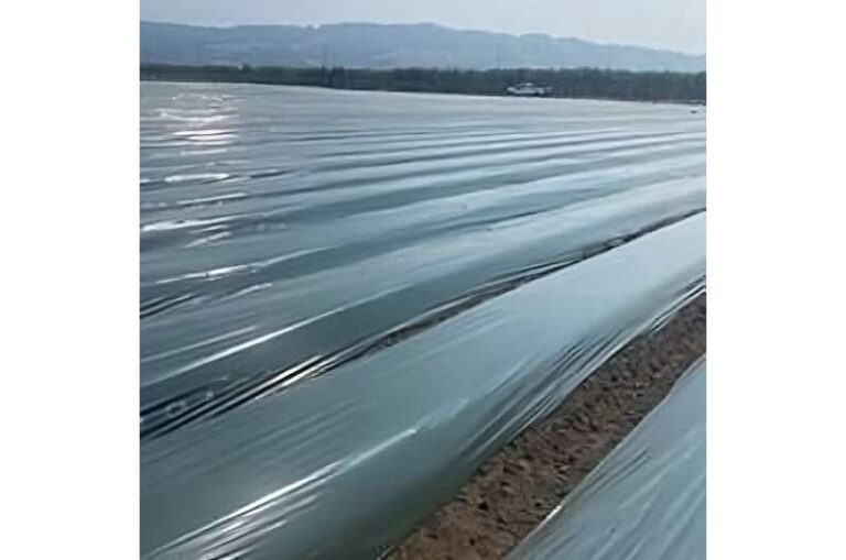 Strawberry fields forever? Production leaves long-term plastic pollution