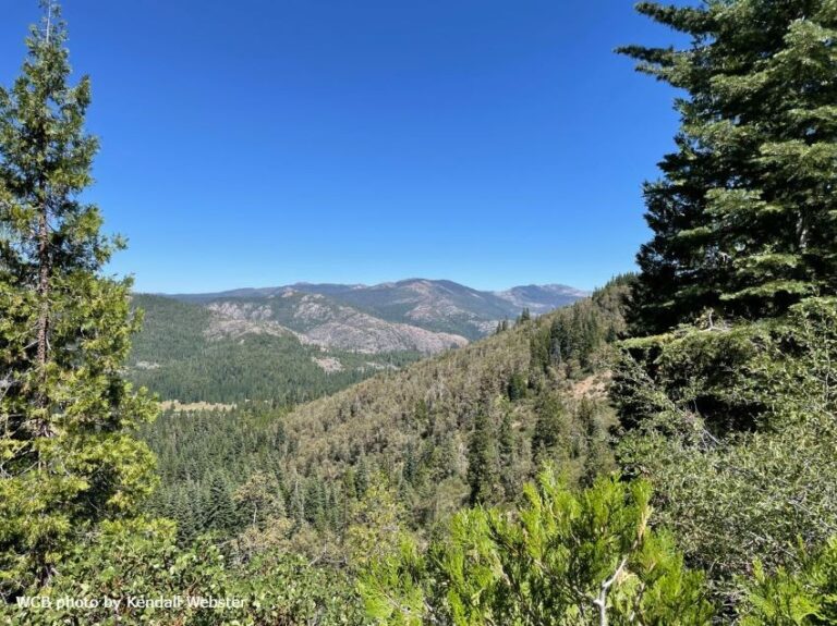 Historic Acquisition by California Blackled Conservation Group — H2O IQ