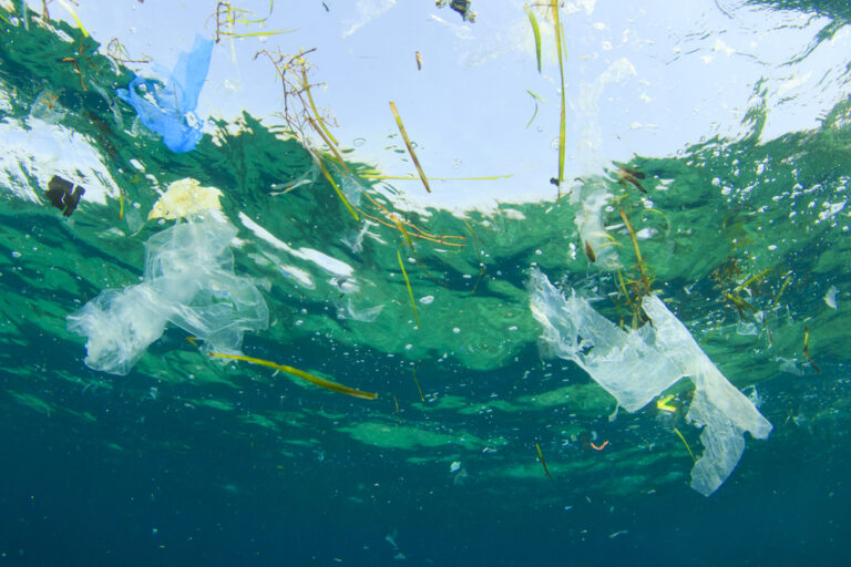 The Ocean Cleanup, Part 1: Alternatives to reduce ocean plastic
