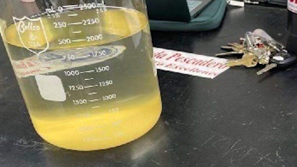 San Mateo County schools' drinking water contaminated with nitrate