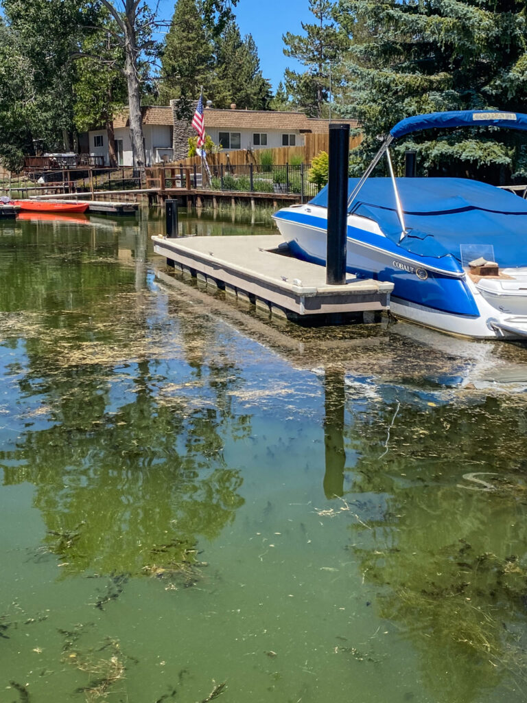 Monitoring Aquatic Weed Control Methods to Preserve, Restore, and Enhance the Tahoe Keys Lagoons