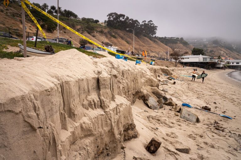 Plan to replace beach sand, build ‘living shorelines’ adopted by LA County supervisors