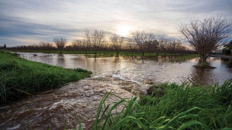 Flood-MAR: A water wave for orchards