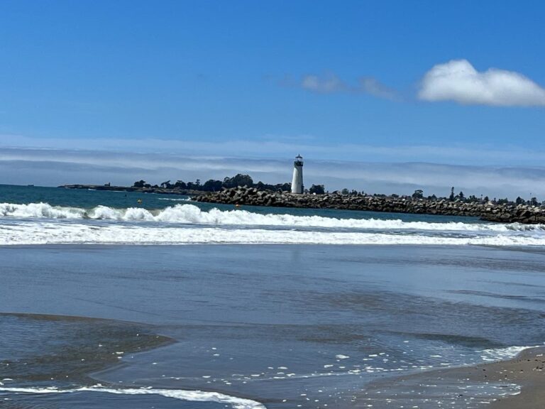 Trash On Monterey Bay Shoreline Threatens Ecosystem: NOAA