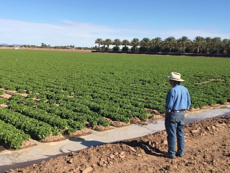 Exploring the future of water sustainability for Yuma farming — H2O IQ