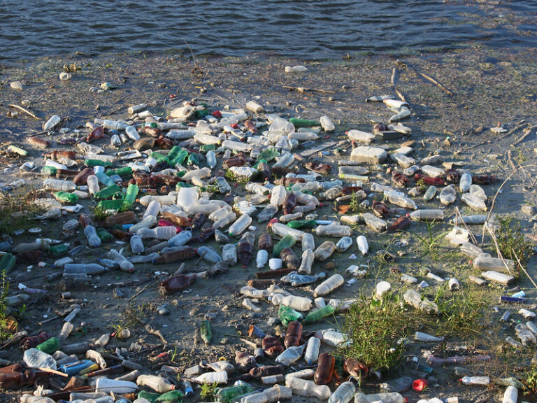 COURTHOUSE NEWS: Experts urge federal action to keep microplastics out of drinking water