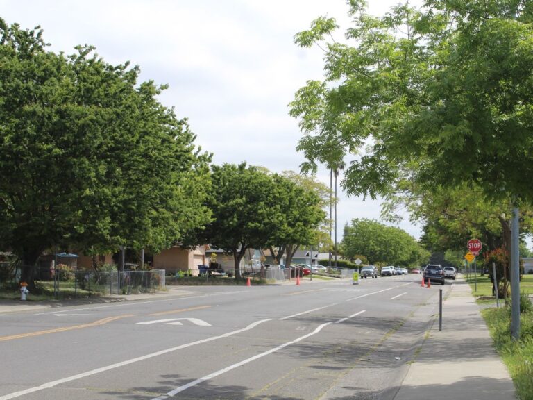 Sacramento has a new plan to grow the city’s tree canopy and wants your feedback
