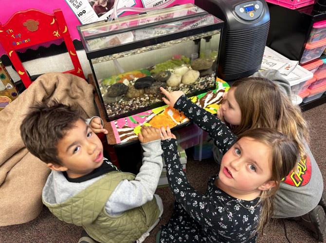 Kindergarteners release trout into Feather River
