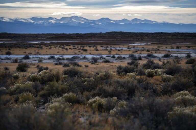 Colorado to shield thousands of acres of wetlands, miles of streams after U.S. Supreme Court left them vulnerable